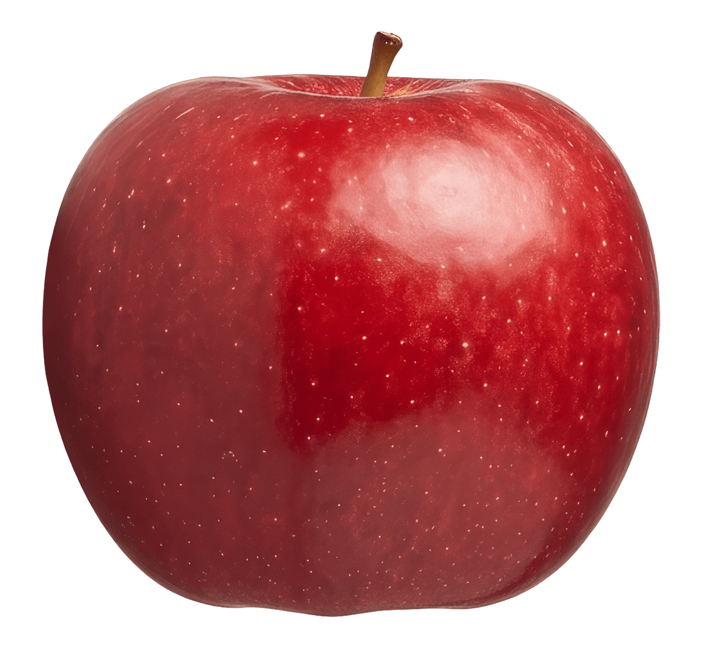 Abbildung eines Crimson Crisp - sattroter, glänzender Apfel